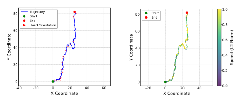 Figure 5: Path & FoV Analysis
